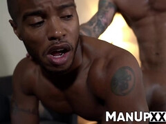 Arschlecken, Grosser schwanz, Schwarz, Blasen, Schwul, Sporthalle, Interrassisch, Wichsen