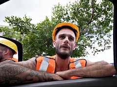 Любители, Геи, На природе, На публике, Реалити, Тату