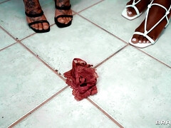 Nana, Gros seins, Sucer une bite, Hard, Mère que j'aimerais baiser, Actrice du porno, Chatte, Nénés