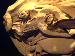 Amateur, Cul, Salle de bains, Grossier, Robe, Petite amie, Pov, Rasée