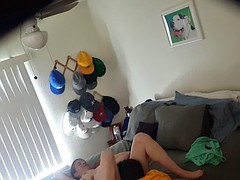 Bruinharig, Bekijker