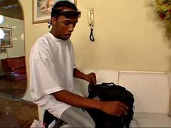 Verga grande, Negro, Ébano, Montar