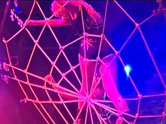 Grote mammen, Zwart, Blond, Zwart, Pornster, Roodharige vrouw, Tieten likken