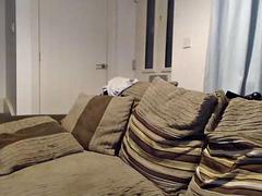 Enthousiasteling, Seksspeelgoed, Fetisj, Masturbatie, Roodharige vrouw, Rijden, Alleen, Speelgoed