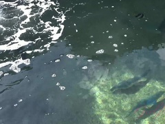 Leie, Bikini, Fingern, Freundin, Latina, Nackt, Orgasmus, Abendanzug