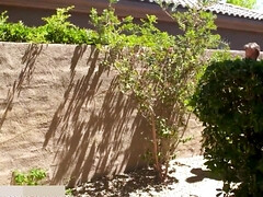 Anaal, Kont, Grote kont, Grote lul, Grote mammen, Blond, Duits, Moeder die ik wil neuken