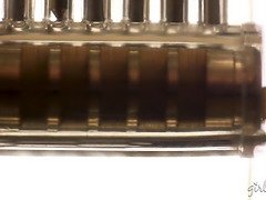 Amerikaans, Rondborstig, Fetisj, Hd, Lesbisch, Rijpe lesbienne, Kut duiken, Trio