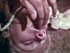 Connie Peterson Short Shorts Prick Teasers Film 2 1978