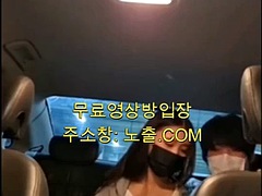 Korea hot babes kissing each other while touching each other in the car