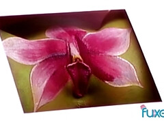 Жопа, Сперма на лице, Секс без цензуры, Милф, Мамочка, Ретро, Втроем, Винтаж