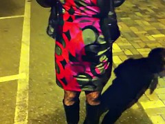 Amateur, Holandés, Despelote, Público