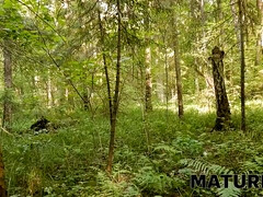 Красивые, Хд, Зрелые, Рыжие, Русские, Сауна, Бритые, Сыновья