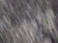 Leie, Schwarz, Hochschule, Schwarz, Gruppensex, Pov, Titten