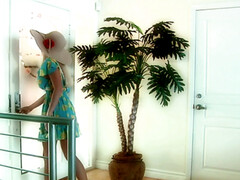 Sucer une bite, Brunette brune, Branlette thaïlandaise, Hard, Hd, Chatte, Rasée, Nénés