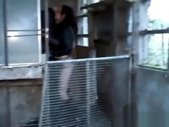 Pijpbeurt, Rondborstig, Classisch, Hondjeshouding, Gotisch, Natuurlijk, Tepels, Tatoeage