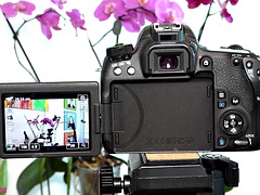 Leie, Europäisch, Hardcore, Italienisch, Lingerie, Lehrer, Jungendliche (18+)