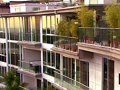 crazy things are happening in the swinger house