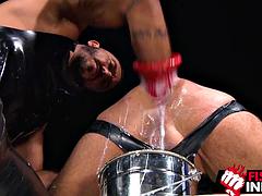 Anal, Lamer culo, Verga grande, Mamada, Consolador, Gay, Masturbación, Juguetes