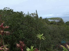 Amateur, Playa, Penetracion con dedos, Novia, Al aire libre, Pov, Público, Mojado