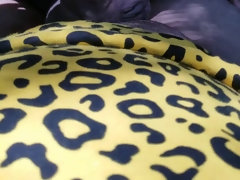 Sucer une bite, Brunette brune, Queue, Hd, Fille latino, Mère que j'aimerais baiser, Suçant