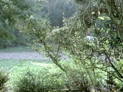 Семяизвержение, Француженки, Оргии, Винтаж