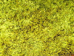 アナル, デカパイ, お婆さん, 淫乱熟女, 自然山雀, 一人, ストッキング, おもちゃ