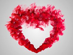 Belle grosse femme bgf, Gros seins, Sucer une bite, Hd, Mature, Mère que j'aimerais baiser, Rugueux, Criant