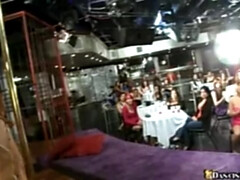 Stunning Ka and Ashley's pornstar xxx