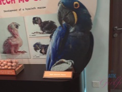 Enthousiasteling, Eten, Vriendin, Orgasme, Buiten, Gezichtspunt, Kut duiken, Tieten likken