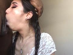 Asiatisch, Tussi, Grosser schwanz, Blasen, Ablutschen