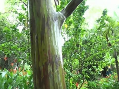 Strand, Braunhaarige, Freundin, Pov, Muschi, Rasiert, Socken, Weibliche ejakulation