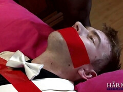 Deadly Woman - hot femdom sex video