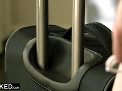 Schwarz, Blasen, Interrassisch, Zierlich, Realität, Reiten, Rasiert, Dürr