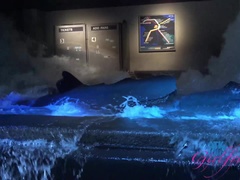 You take Winter to a theme park!