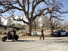 Большие сиськи, Блондинки, Минет, В машине, Собачьи, Лизание, Мастурбация, Униформа
