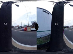 Japonaise, Pov
