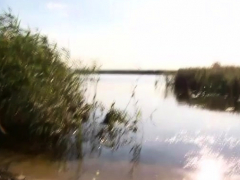 Любители, Жопа, Блондинки, Собачьи, Секс без цензуры, На природе, От первого лица, Молоденькие