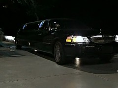 Dudes teasing with busty belly dancers