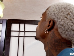 Monster BBC for Ebony with Big Natural Tits - Worshipping Hazel's Hairy Pits - Hazel Grace