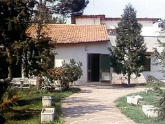 Grosse titten, Blondine, Braunhaarige, Schwanz, Hardcore, Hd, Muschi, Vintage