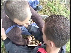 Amateur, Anal, Homosexuelle