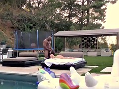 Grosser schwanz, Schwarz, Schwarz, Interrassisch