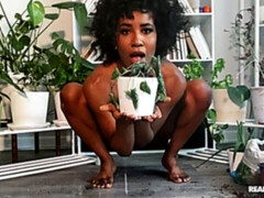 Cul, Noir ébène, Béant, Branlette thaïlandaise, Masturbation, Solo, Jouets, Webcam