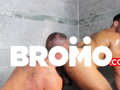 Homo, Hd