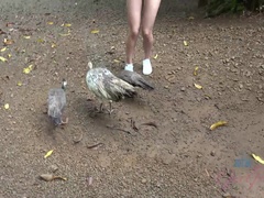 素人, 黒人, 指いじり, 小柄, オマンコ, 喫煙, オッパイの, のぞき