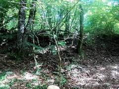 お尻, デカチン, フェラチオ, フランス人, ハードコア, Hd, 公共, ティーン