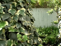 フェラチオ, 茶髪の, カップル, 毛深い, 日本人, 自然山雀, 生徒, バイブレーター