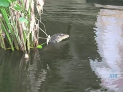 Leie, Bad, Blasen, Braunhaarige, Freundin, Pov, Öffentlich, Titten