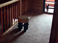 Petite college teen cocksucking before fucked