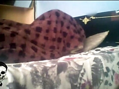 Amateur, Anal, Gros seins, Mexicainne, Mère que j'aimerais baiser, Chatte, Jarretelles, Plan cul à trois